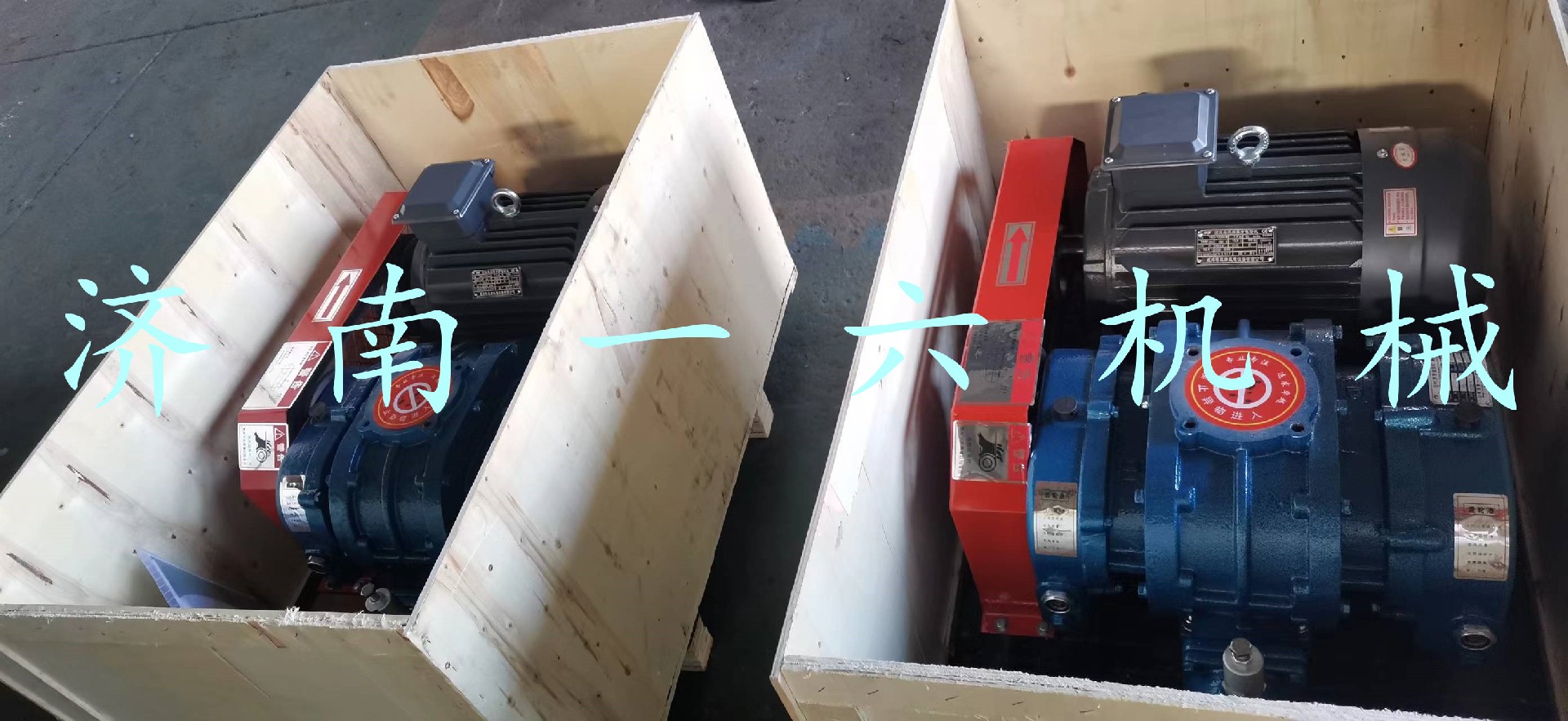 1665298518190111.jpg 1665298518190111.jpg